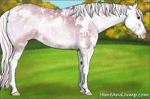 Horse Color:Watercolor Silver Bay Pearl Onyx Sabino