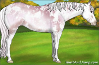 Horse Color:Watercolor Silver Bay Pearl Onyx Sabino 