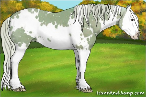 Horse Color:Watercolor White Spotted Silver Black Sabino Splash 