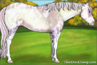 Horse Color:Watercolor Silver Smoky Blue Onyx Pearl Sabino Blanket Rabicano 