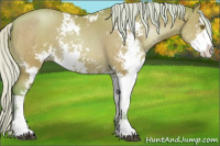 Horse Color:Watercolor Silver Brown Pearl Sabino Rabicano 
