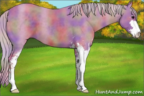 Horse Color:Nacre Watercolor Silver Black Sabino