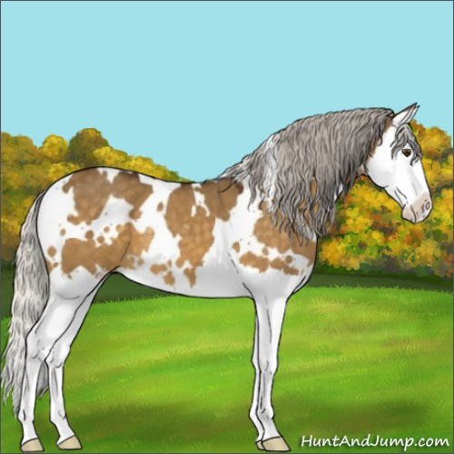 Horse Color:White Spotted Silver Buckskin Dun Splash 