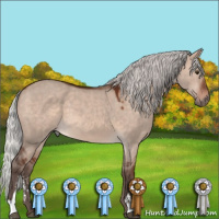Horse Color:Silver Brown Dun Mushroom Sabino 
