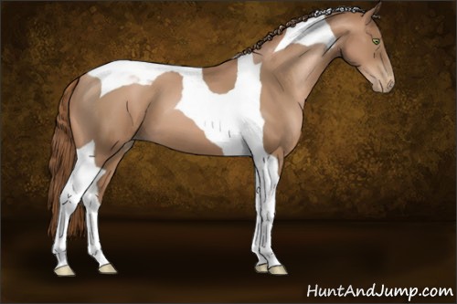 Horse Color:Liver Chestnut Pearl Tobiano