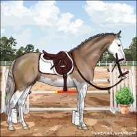 Horse Color:Silver Brown Dun Sabino Splash Rabicano 