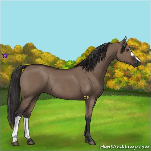 Horse Color:Liver Red Dun Rabicano 