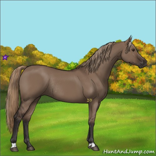 Horse Color:Liver Red Dun Rabicano