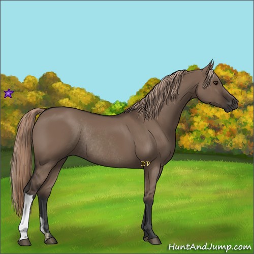 Horse Color:Liver Red Dun Rabicano