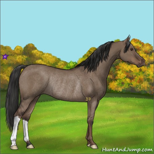 Horse Color:Liver Red Dun Rabicano