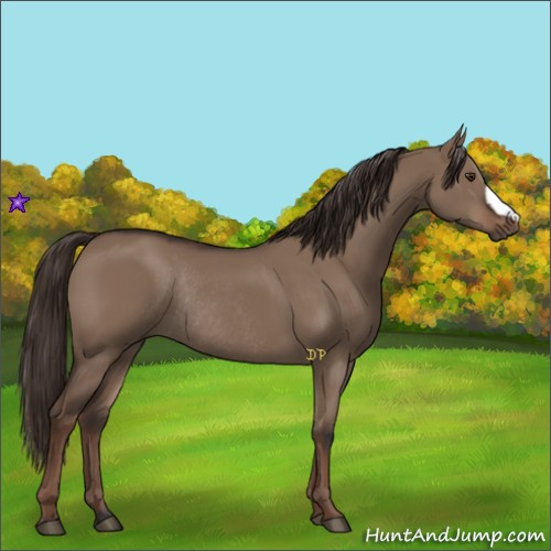 Horse Color:Liver Red Dun Rabicano 