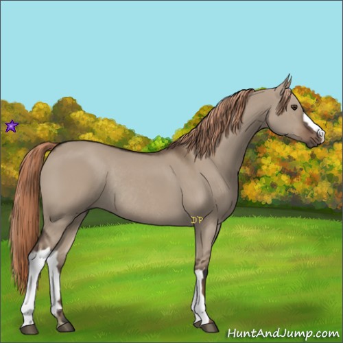 Horse Color:Liver Red Dun Rabicano 