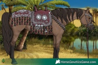 Horse Color:Liver Red Dun Rabicano 