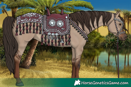 Horse Color:Liver Red Dun Rabicano