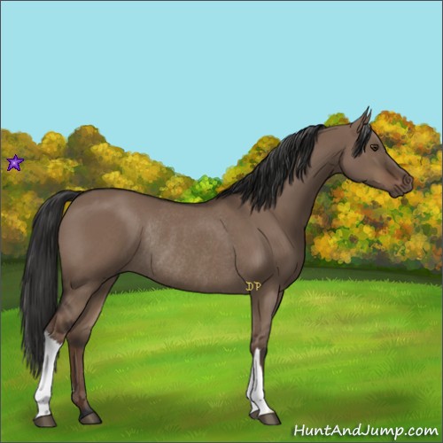 Horse Color:Liver Red Dun Rabicano