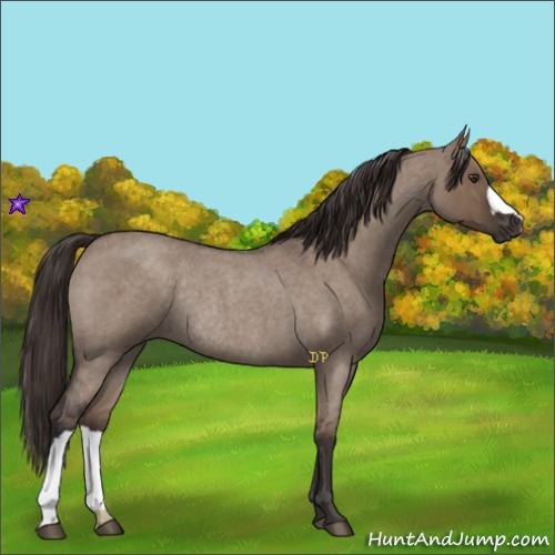 Horse Color:Liver Red Dun Roan Rabicano