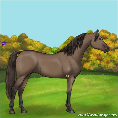 Horse Color:Liver Red Dun Rabicano