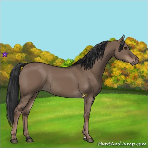 Horse Color:Liver Red Dun Rabicano