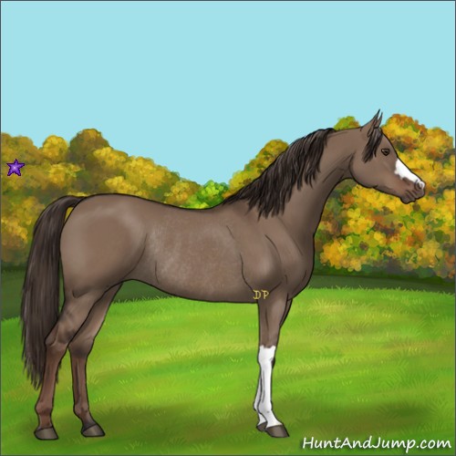 Horse Color:Liver Red Dun Rabicano