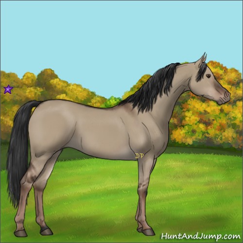 Horse Color:Liver Red Dun Rabicano 
