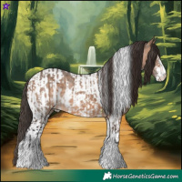 Horse Color:White Spotted Bay Dun Tobiano  and Bay Dun Sabino Tobiano Near Leopard 