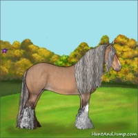 Horse Color:Bay Dun  and Silver Bay Dun 