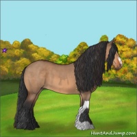 Horse Color:Bay Dun  and Bay Dun 