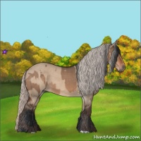 Horse Color:Brown Dun and Silver Brown Dun