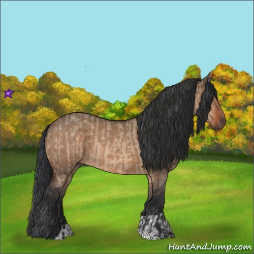 Horse Color:Bay Dun  and Bay Dun 