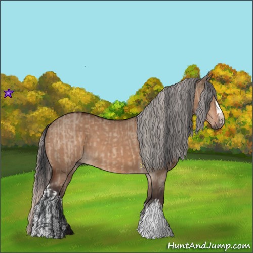 Horse Color:Brown Dun and Silver Brown Dun