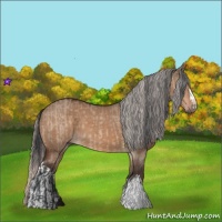Horse Color:Brown Dun  and Silver Brown Dun 