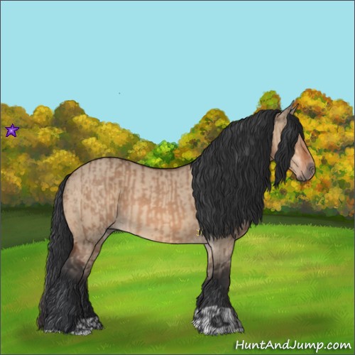 Horse Color:Bay Dun  and Bay Dun 