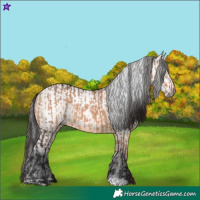Horse Color:Bay Dun  and Gray Bay Dun 