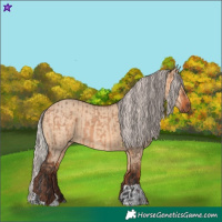 Horse Color:Bay Dun and Silver Bay Dun