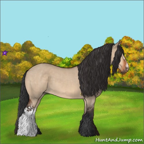 Horse Color:Bay Dun  and Bay Dun 