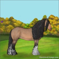 Horse Color:Bay Dun  and Bay Dun 