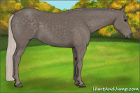 Horse Color:Silver Black 