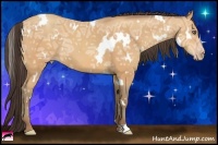 Horse Color:White Spotted Amber Champagne Ice 