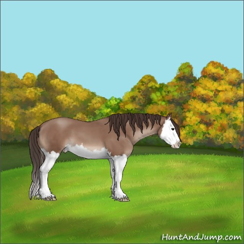 Horse Color:Classic Champagne Splash 