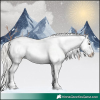 Horse Color:Silver Brown Dun Appaloosa 