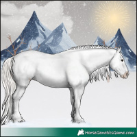 Horse Color:Silver Brown Dun Appaloosa 