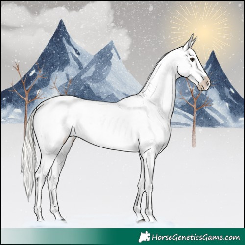Horse Color:Silver Brown Roan Dun Appaloosa 