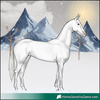 Horse Color:Silver Brown Roan Dun Appaloosa 