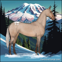 Horse Color:Silver Brown Roan Dun Appaloosa 