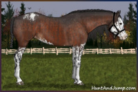 Horse Color:Bay Sabino Splash Varnish  and Bay Sabino Splash Varnish 