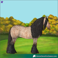 Horse Color:Bay Dun  and Bay Dun Frame 