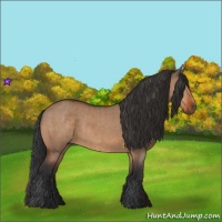 Horse Color:Bay Dun  and Bay Dun 