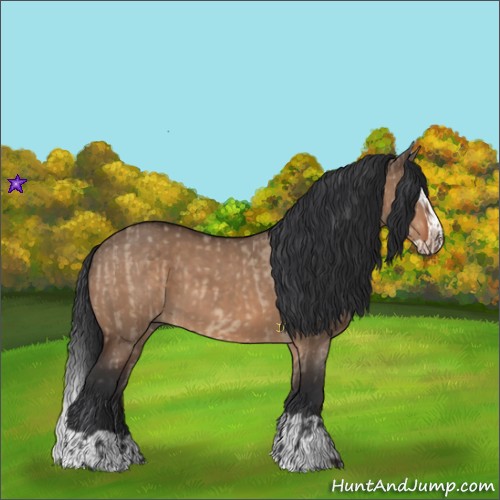 Horse Color:Brown Dun and Brown Dun Splash
