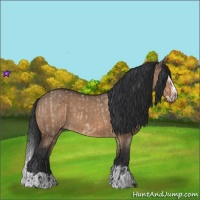 Horse Color:Brown Dun  and Brown Dun Splash 