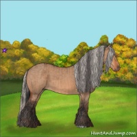 Horse Color:Bay Dun  and Silver Bay Dun 